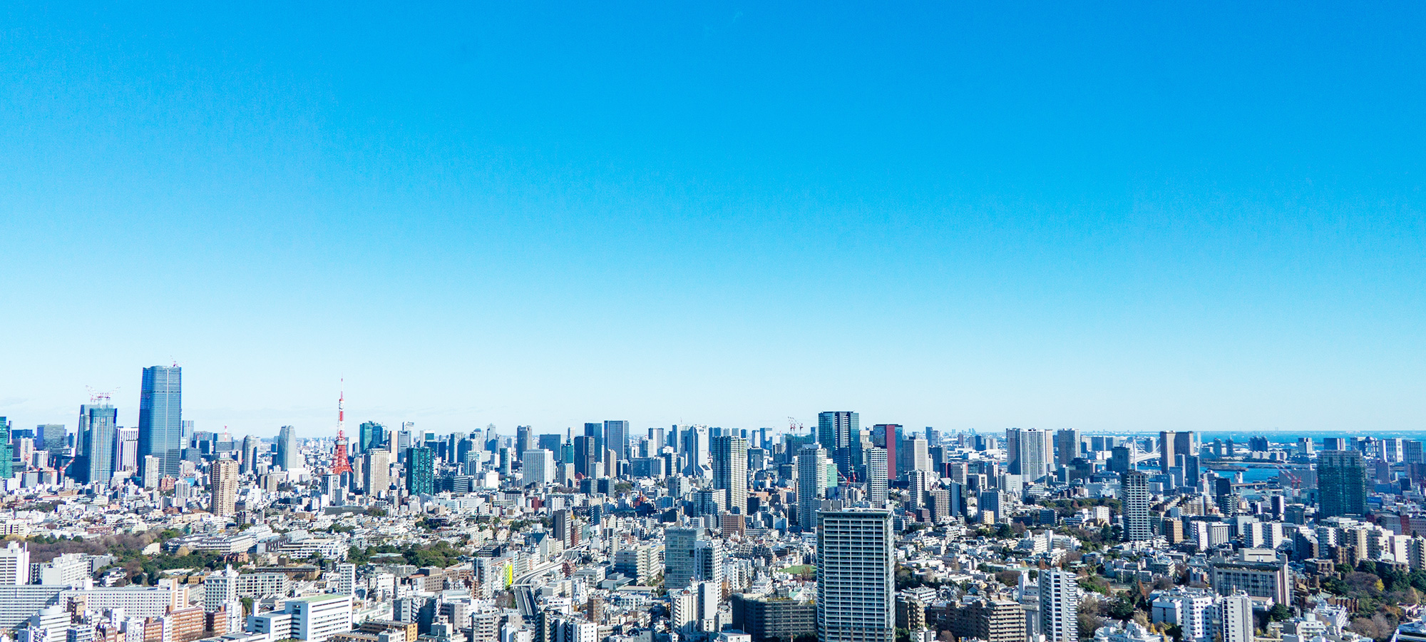 大河司法書士事務所の風景